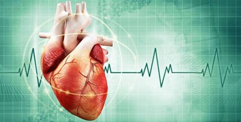 como diminuir os batimentos cardíacos naturalmente